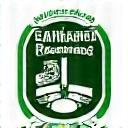 Lógó Cumann Peadaireachta Leasa Rua